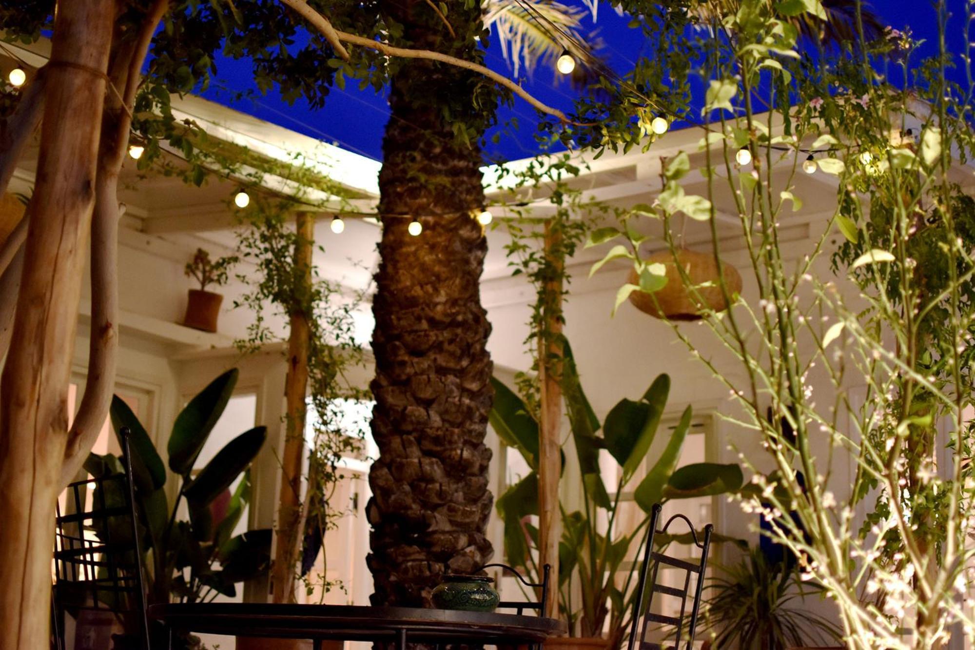 Dar Mayssoun Ghazoua Exterior photo
